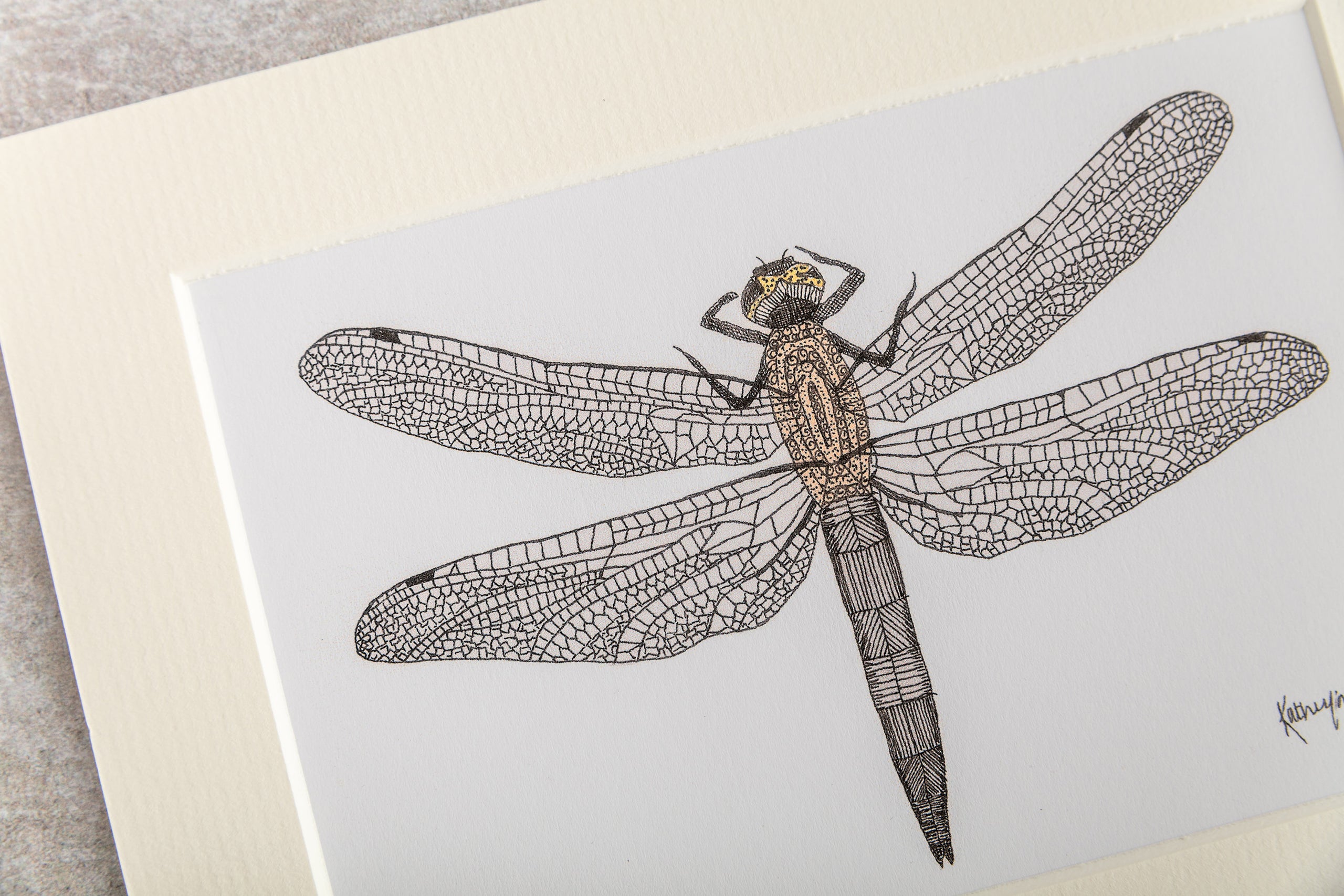 Drawing a Dragonfly - Stippling with Pen and Ink